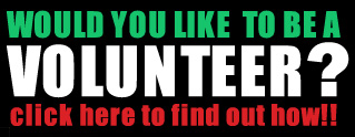 Be a Volunteer and Island Fest!! Click here to find out how!