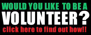 Volunteer